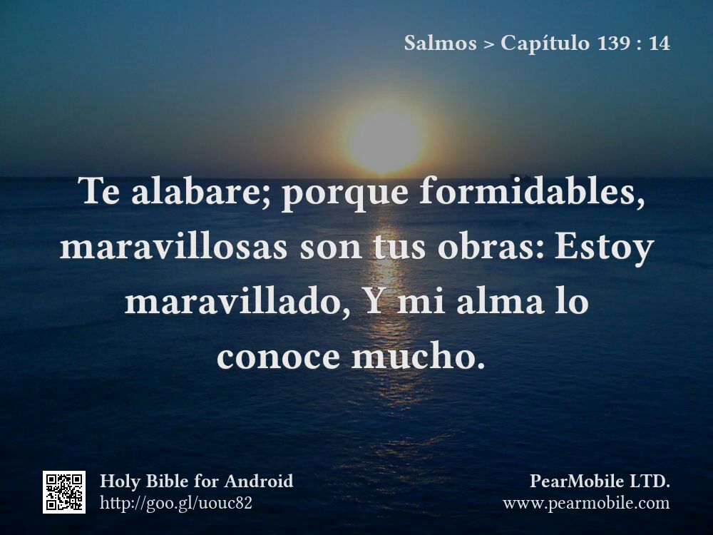 Salmos, Capítulo 139:14